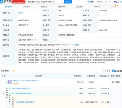 螞蟻集團攜手伙伴成立信息技術公司，聚焦AI及信息系統集成服務