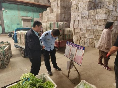 強化源頭管控，守護百姓餐桌——萊陽市開展農產品批發市場專項監督檢查